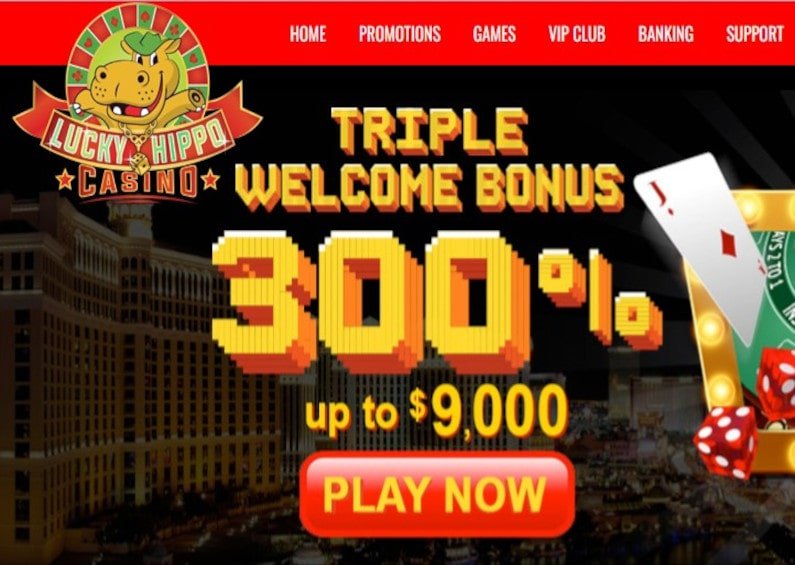 Lucky Hippo Casino recenze ☑️ | 300 % do výše 9 000 USD🔥