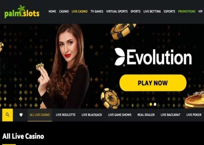 PalmSlots Casino recenze ☑️ | 300 % do výše 1000 € 🔥