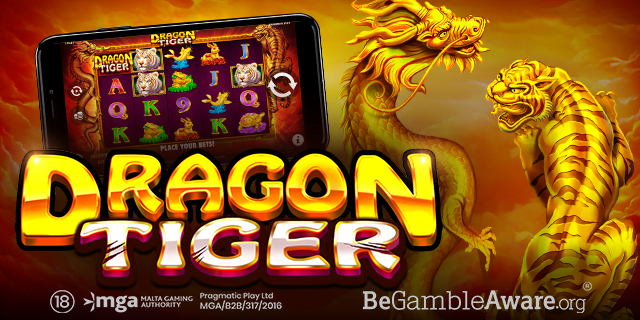 Logo Dragon Tiger + grafika
